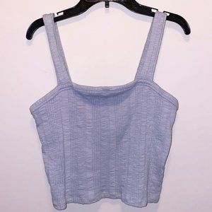 Cropped Baby Blue American Eagle Tank Top